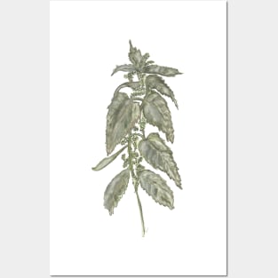 Nettle Posters and Art